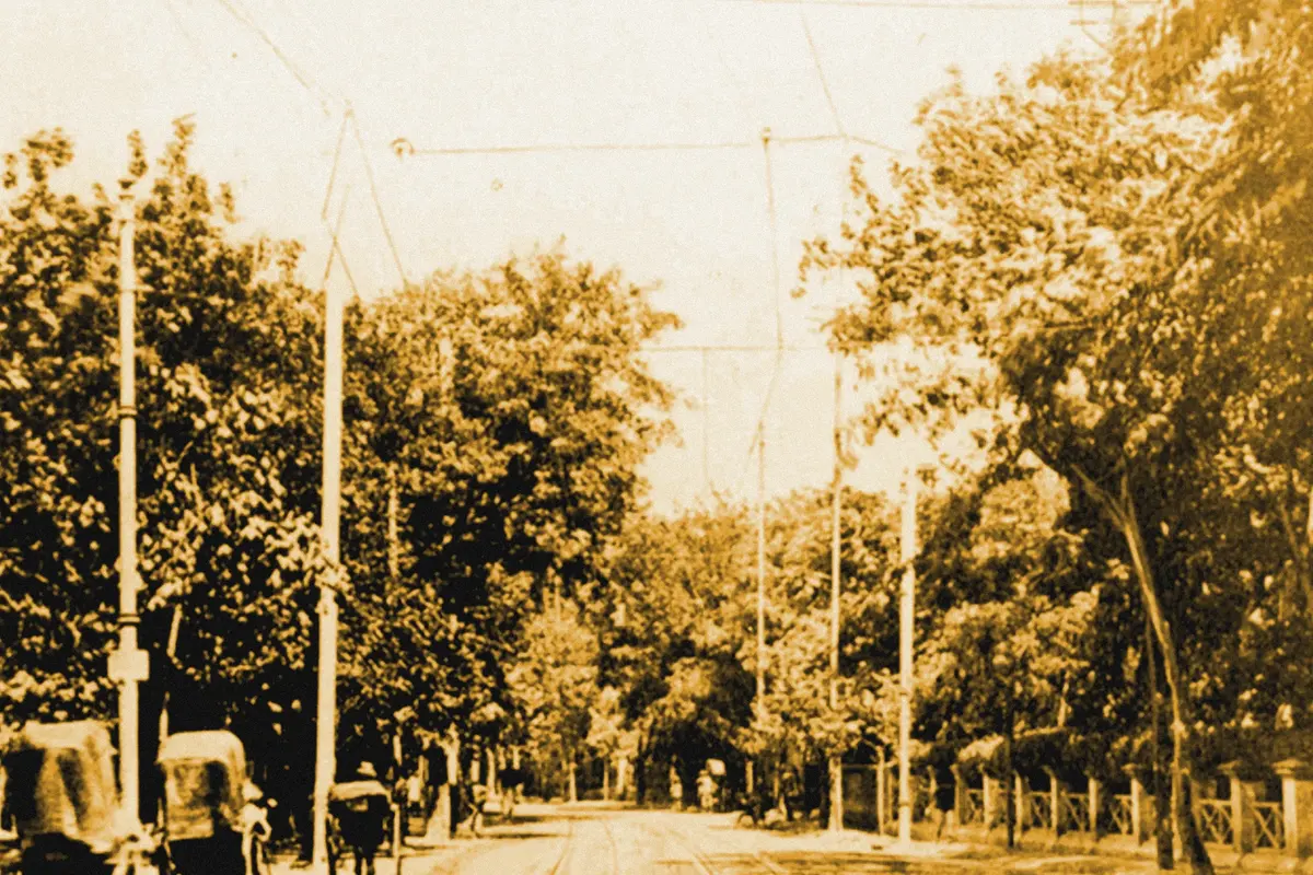 Illustration: Bubbling Well Road Shanghai, from a nineteenth-century photograph (1865), redrawn as a ochre blue pencil duotone.