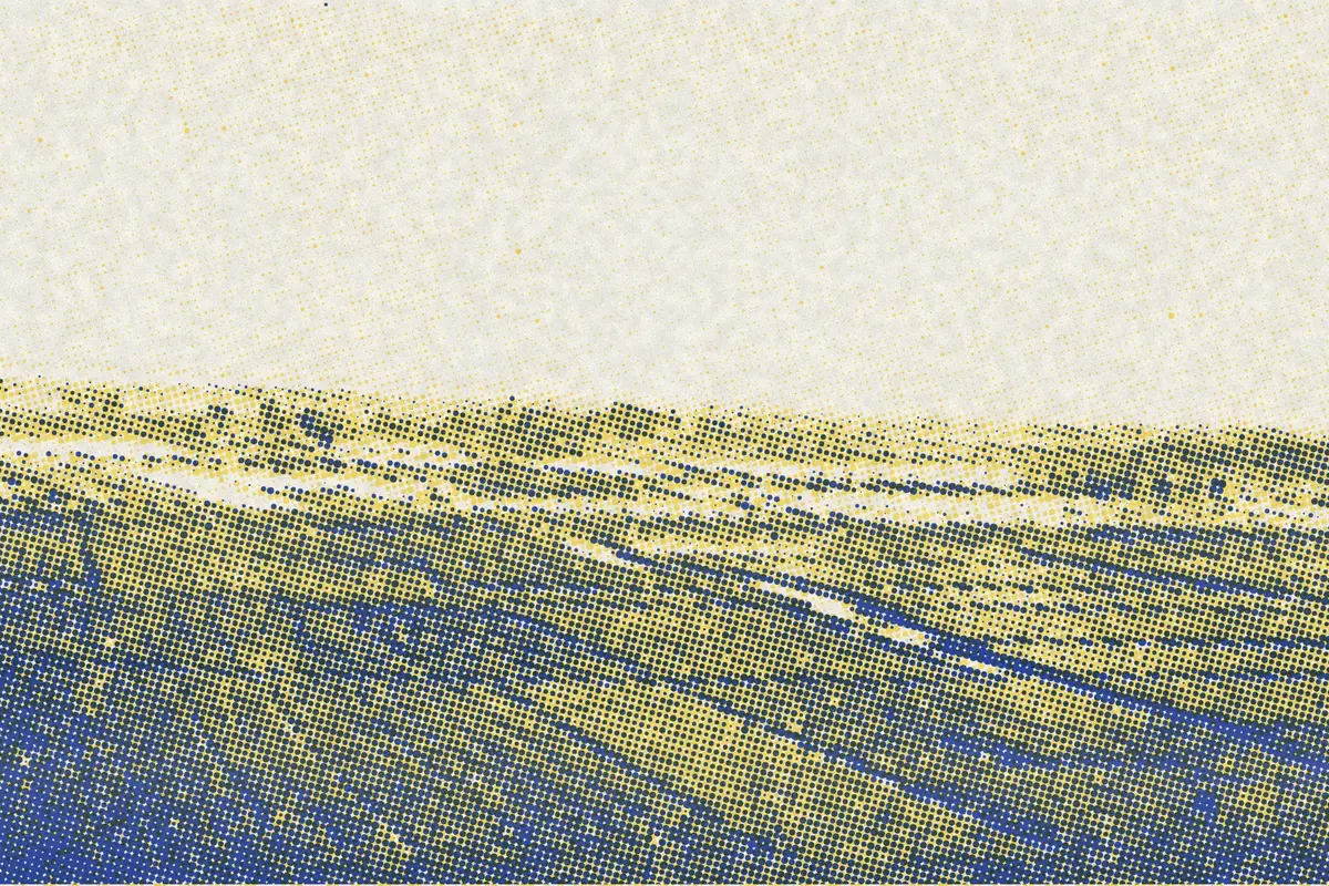 Illustration: Farmers of forty centuries - Landscape of rice fields in China, from a period photograph (1911), redrawn as a yellow riso plate.