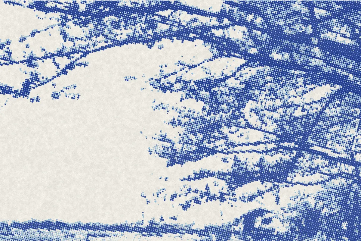Illustration: Japanese cherry trees in blossom on grassy bank beside waterways; people strolling under trees; docks and boats with people., from a period photograph (1915), redrawn as a sky blue riso plate.