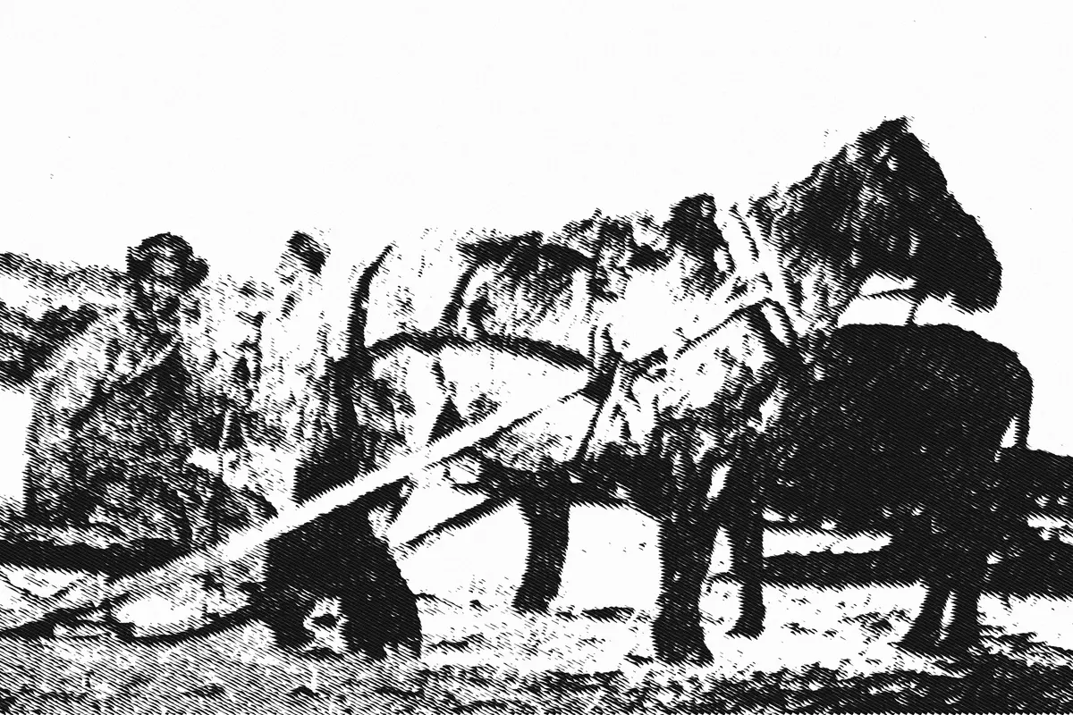 Illustration: Manchu farmer & horse sledge in Manchu Wedge 01, from a period photograph (1900), redrawn as an engraving.